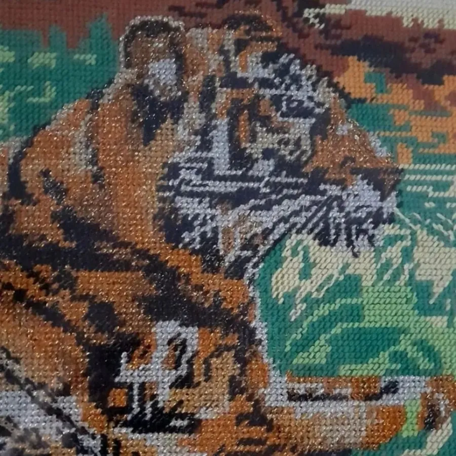 کوبلن غروب بیشه