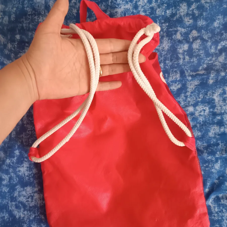 کیف کفش یا لوازم ورزشی