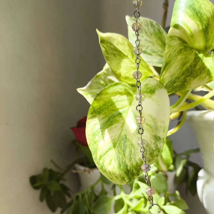 دستبند زنجیری