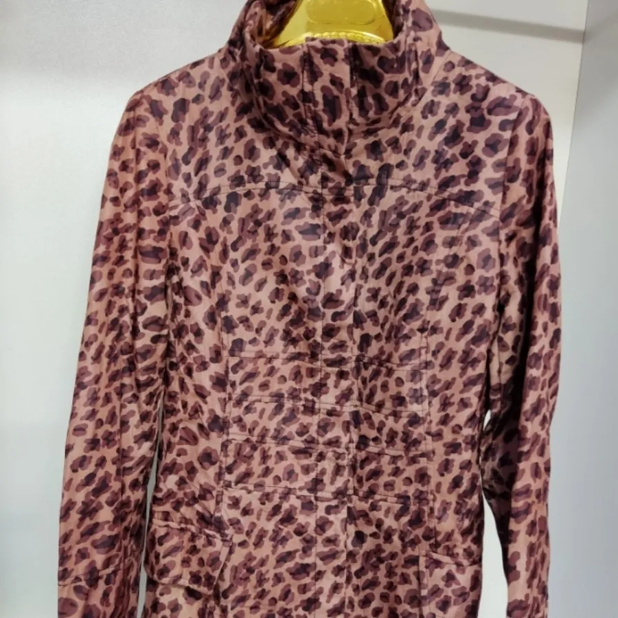 بارونی بازانی