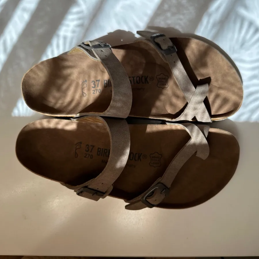 صندل بیرکن استاک??