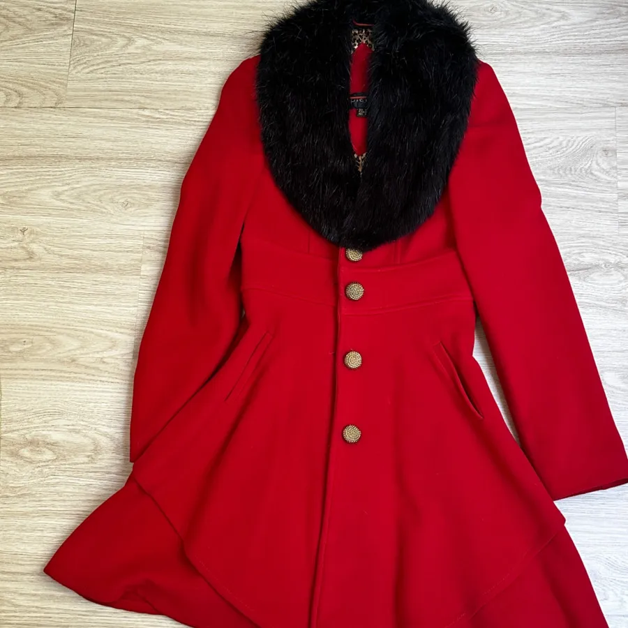 پالتو آستردار آمریکایی