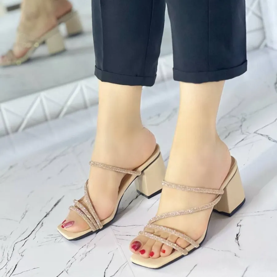 مجلسی مایسا