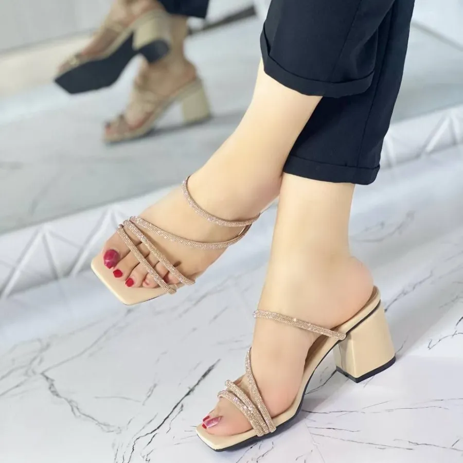 مجلسی مایسا