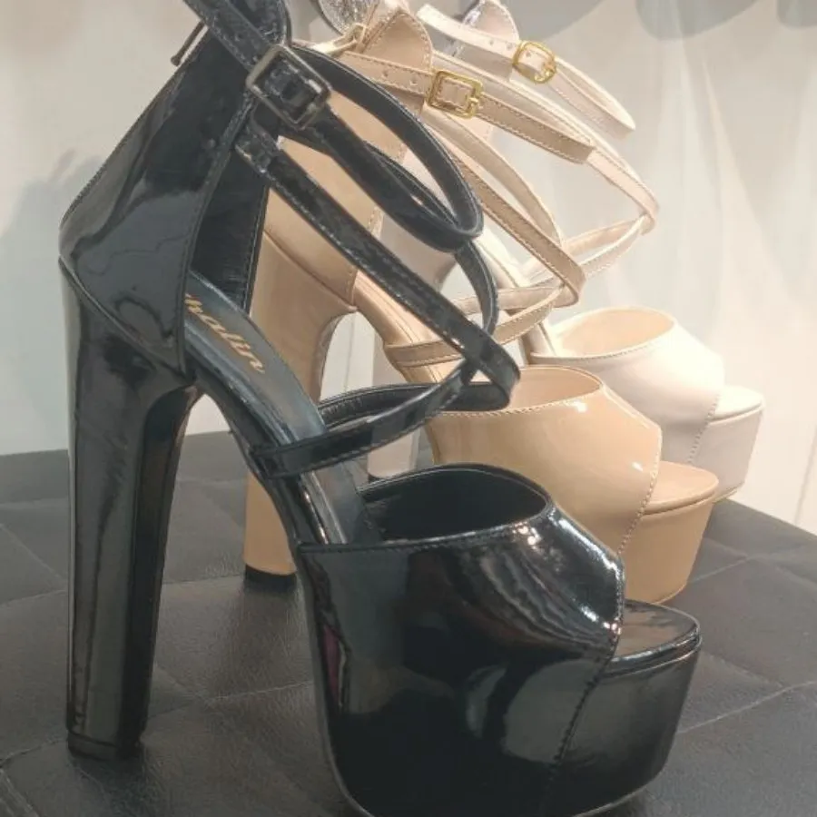 پالسی پارلا