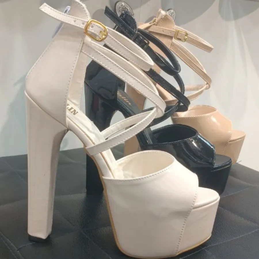 پالسی پارلا