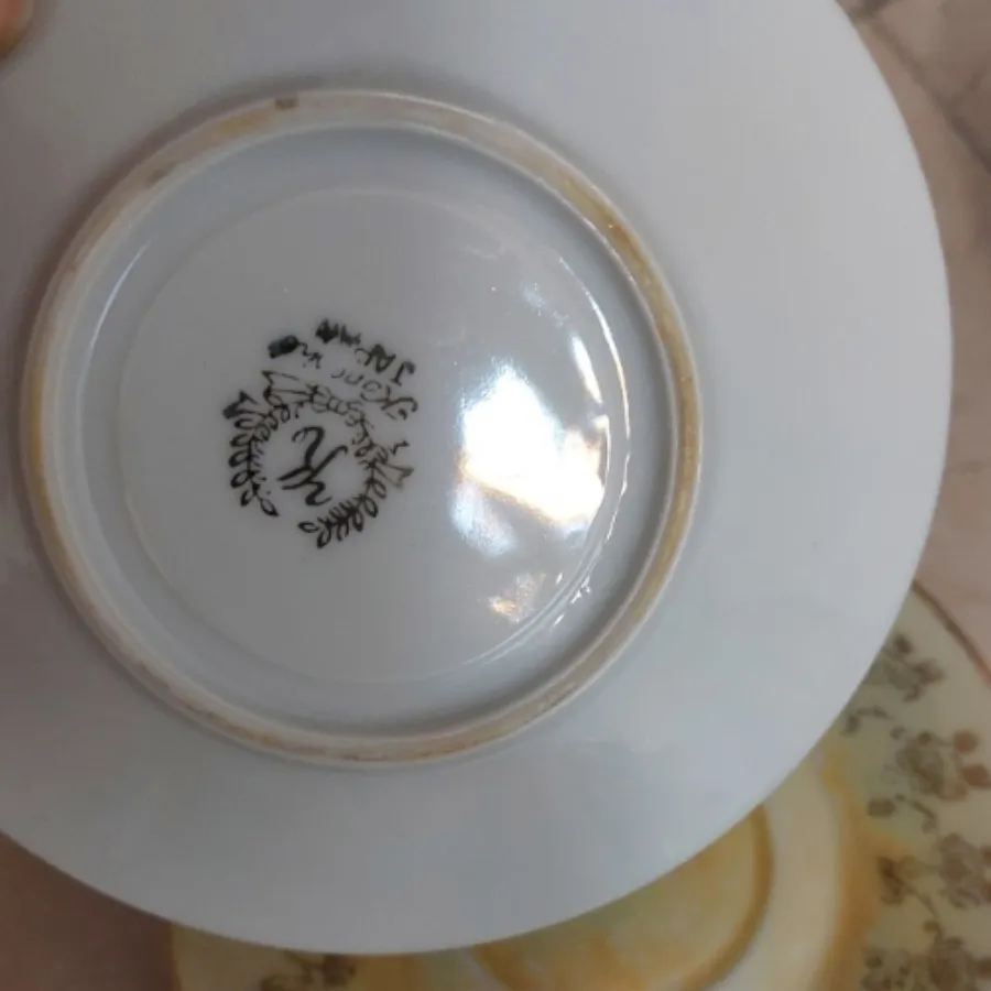 نعلبکی خارجی نو