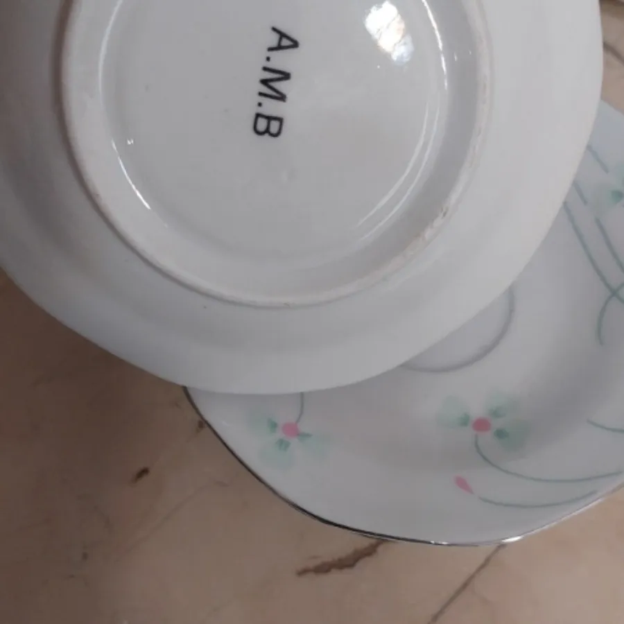 نعلبکی خارجی نو