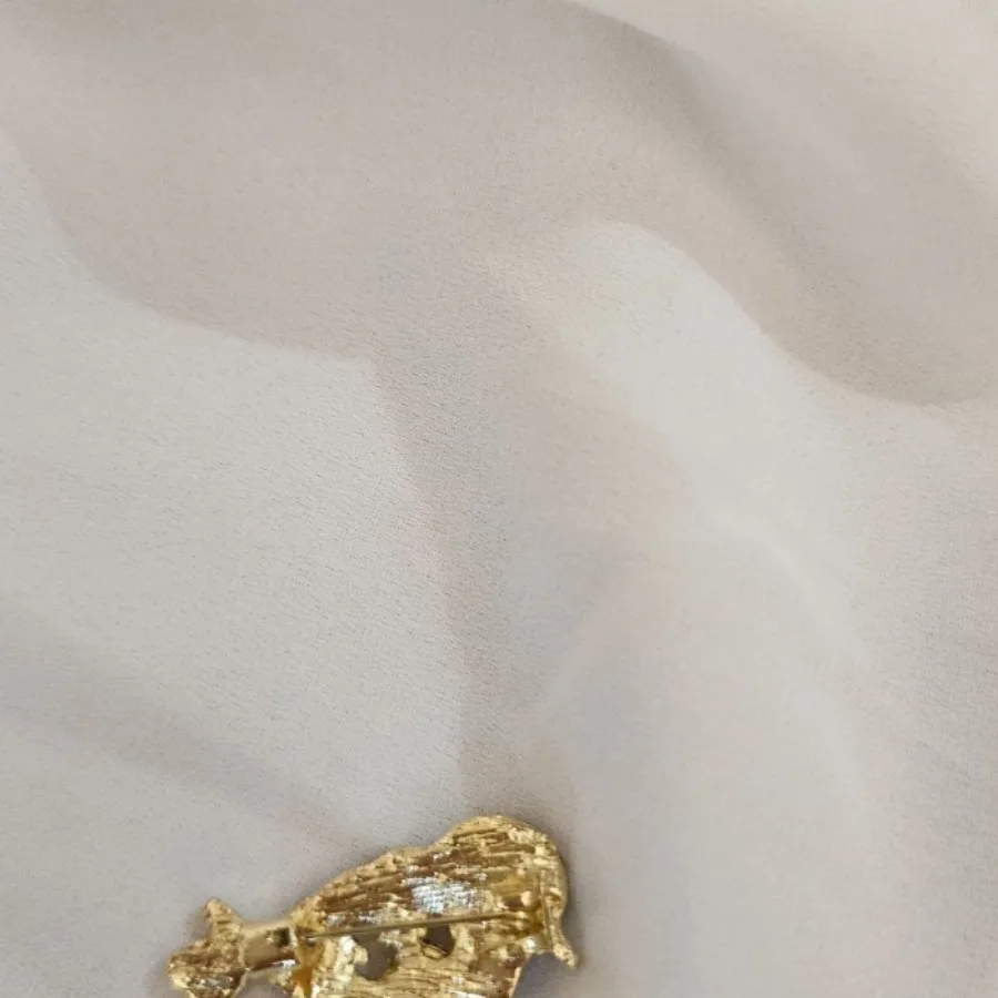 سنجاق سینه پرنده