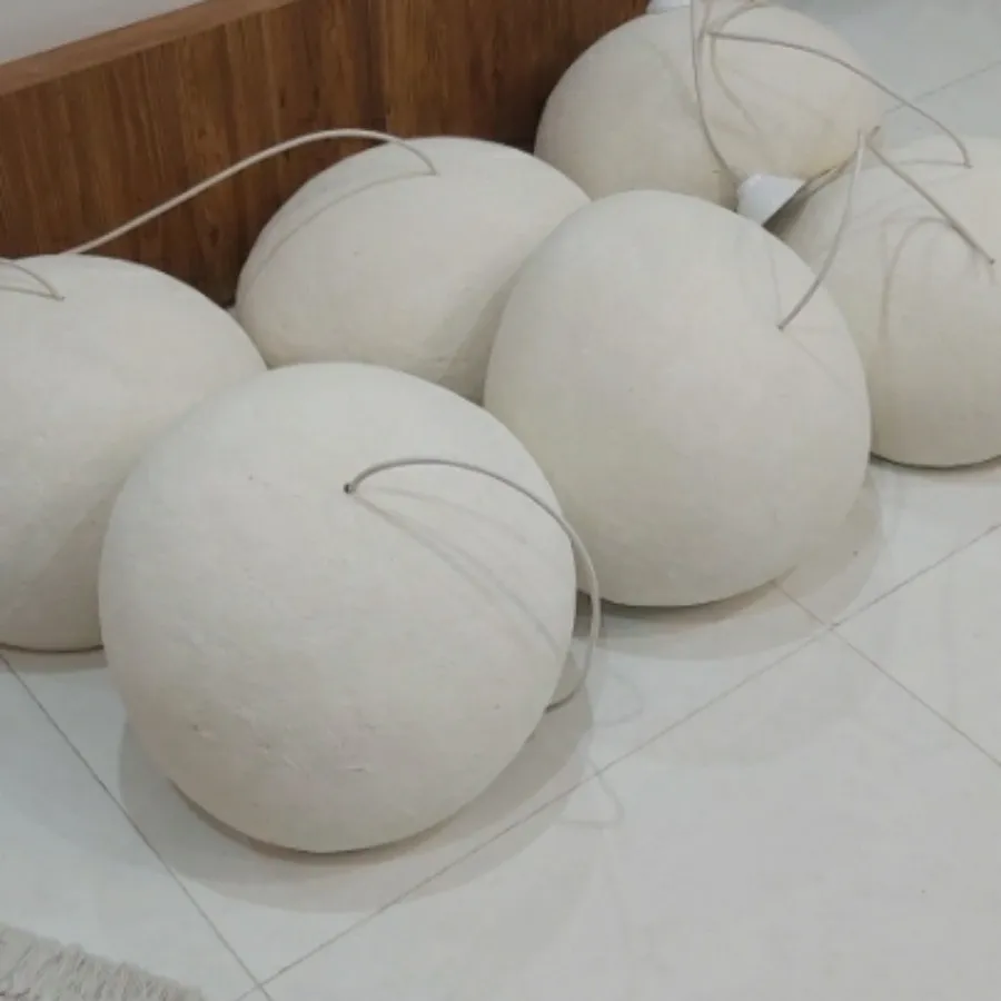 لوستر راگبل