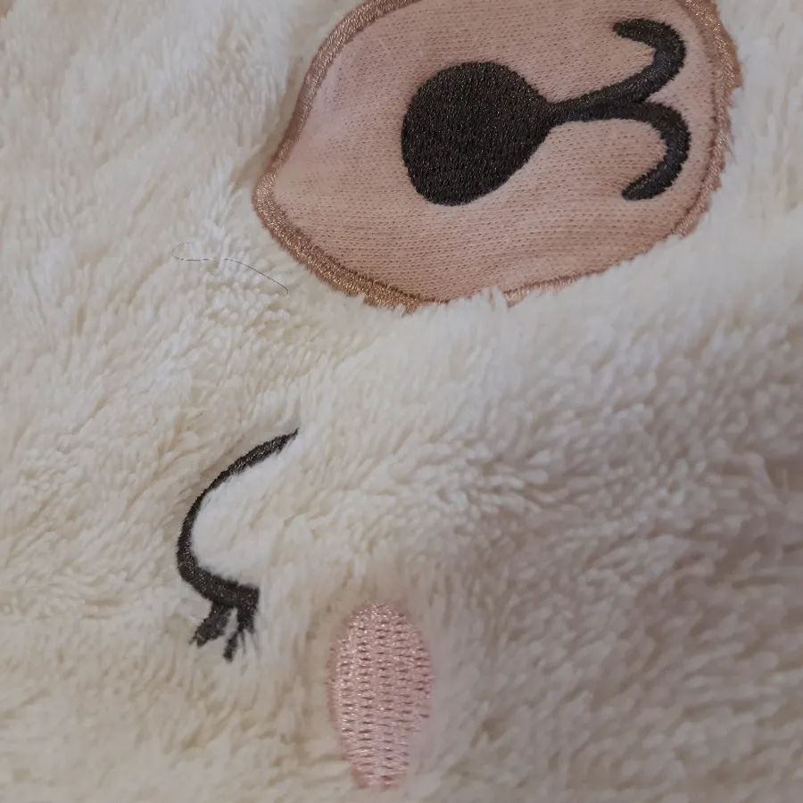 بلوز پولیشی