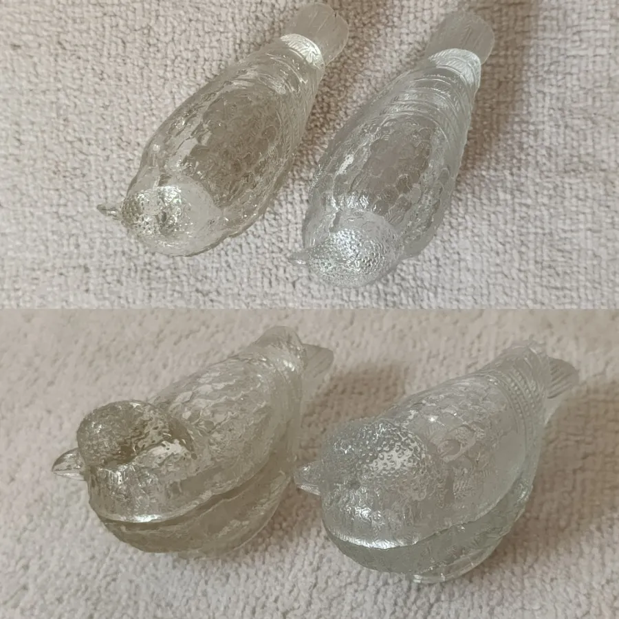 جفت جا تنقلات گنجشک