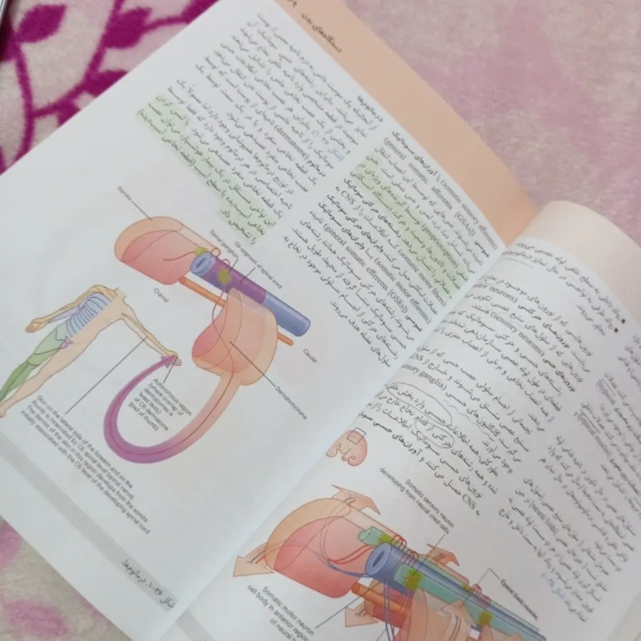 کتاب آناتومی گری