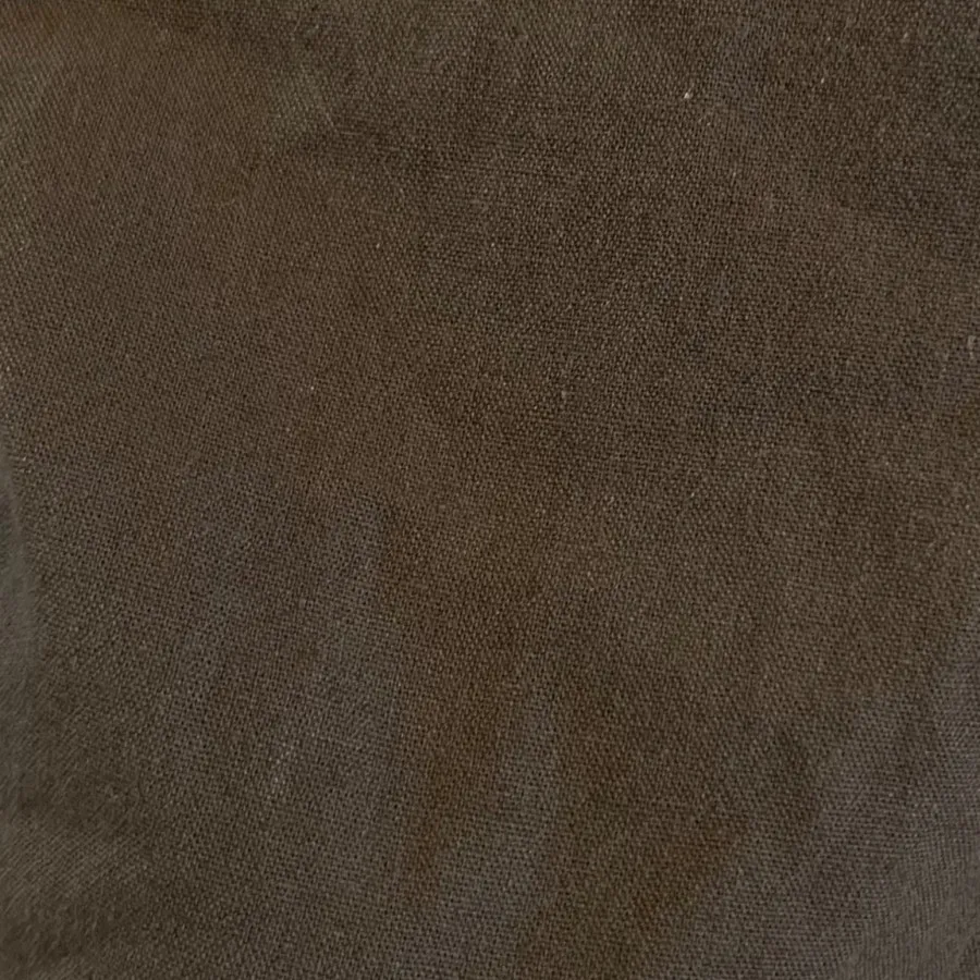 دامن سبز لنین