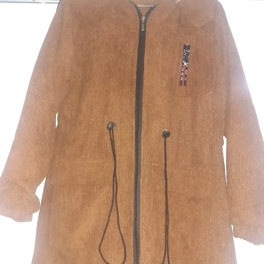 پالتوکبریتی