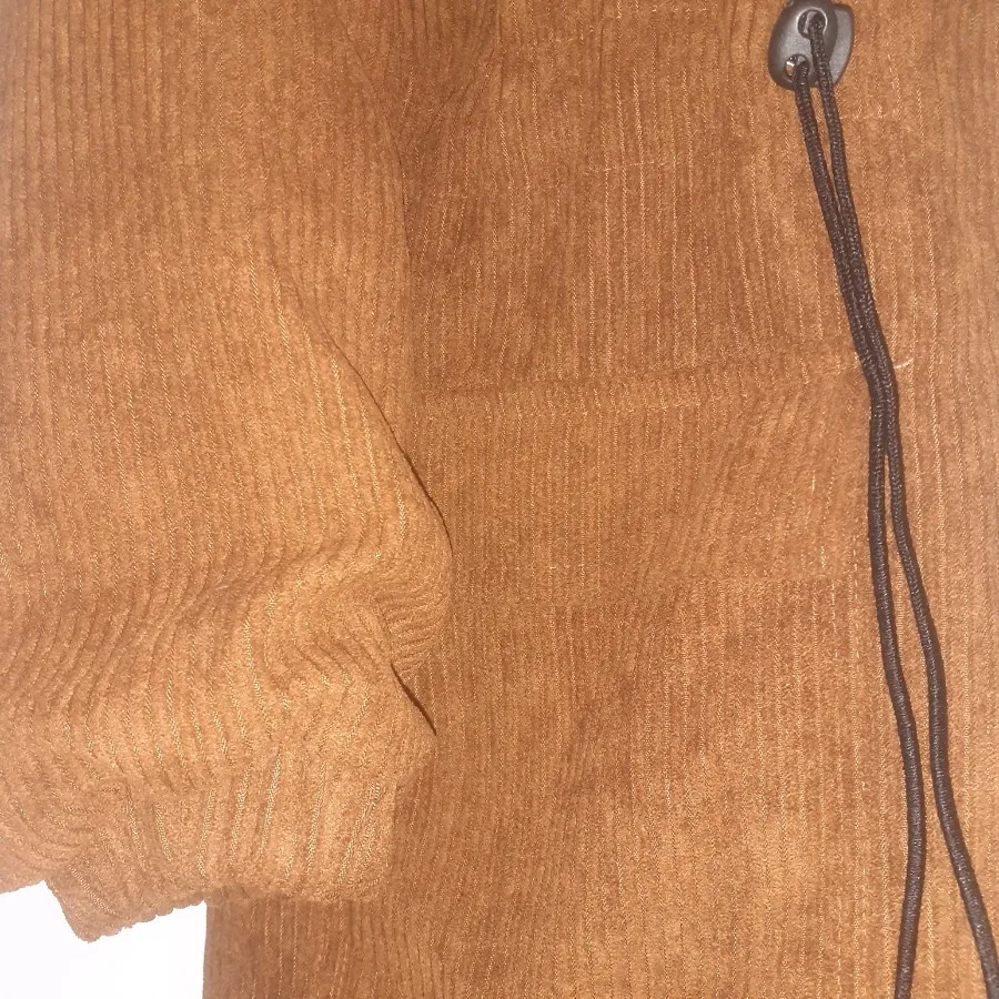 پالتوکبریتی