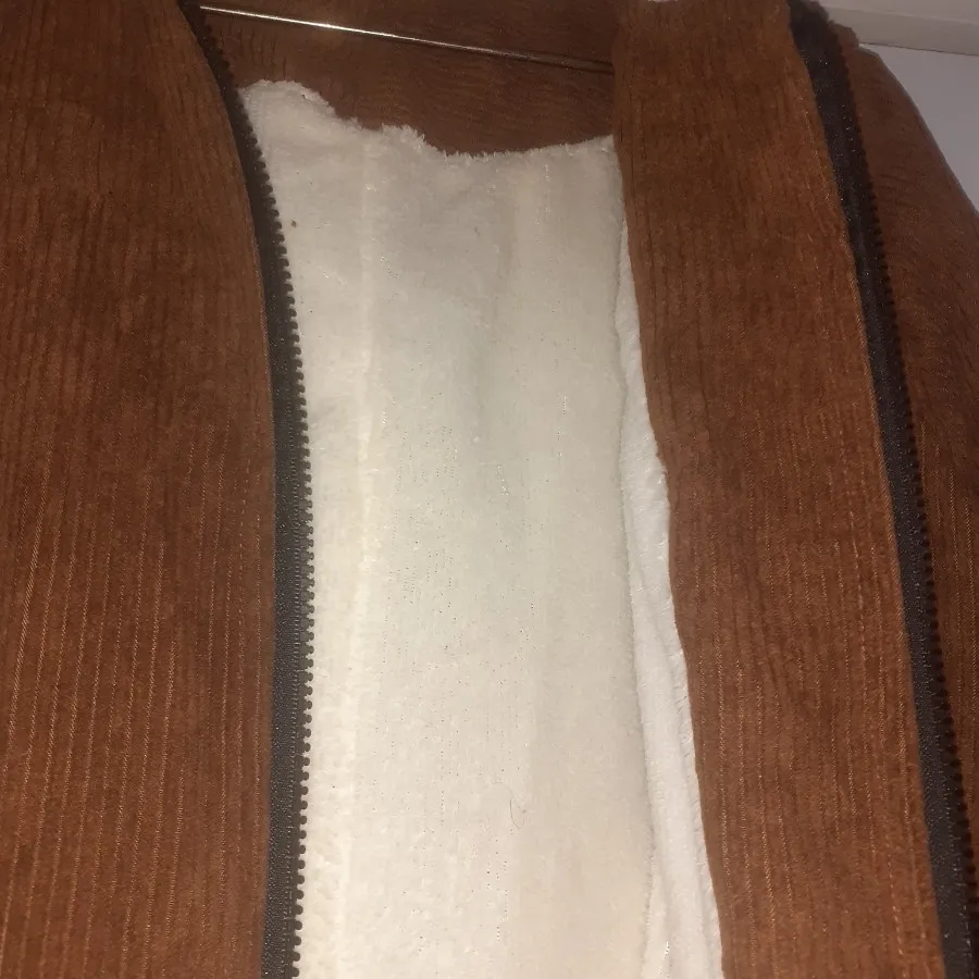 پالتوکبریتی