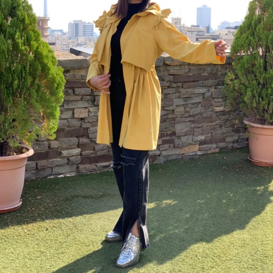 بارونی پینترسی دانشجوی