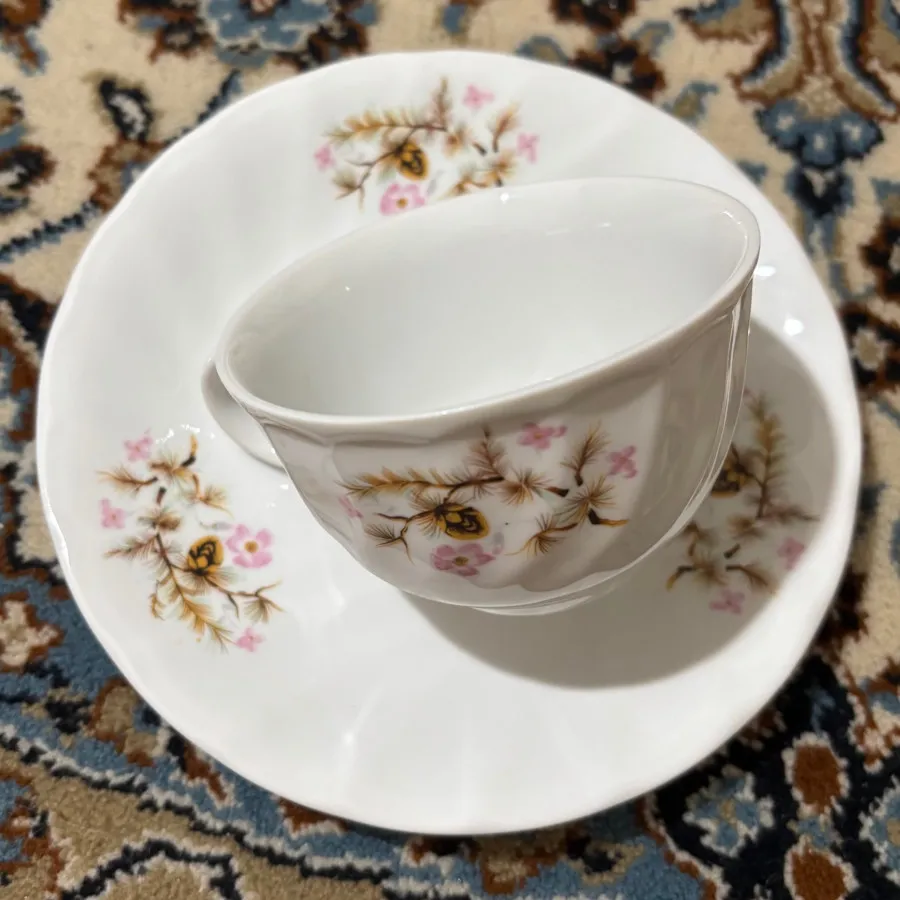 ست فنجان نعلبکی آکبندزیبا