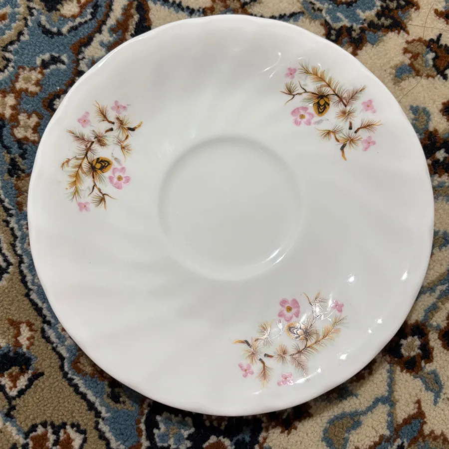 ست فنجان نعلبکی آکبندزیبا