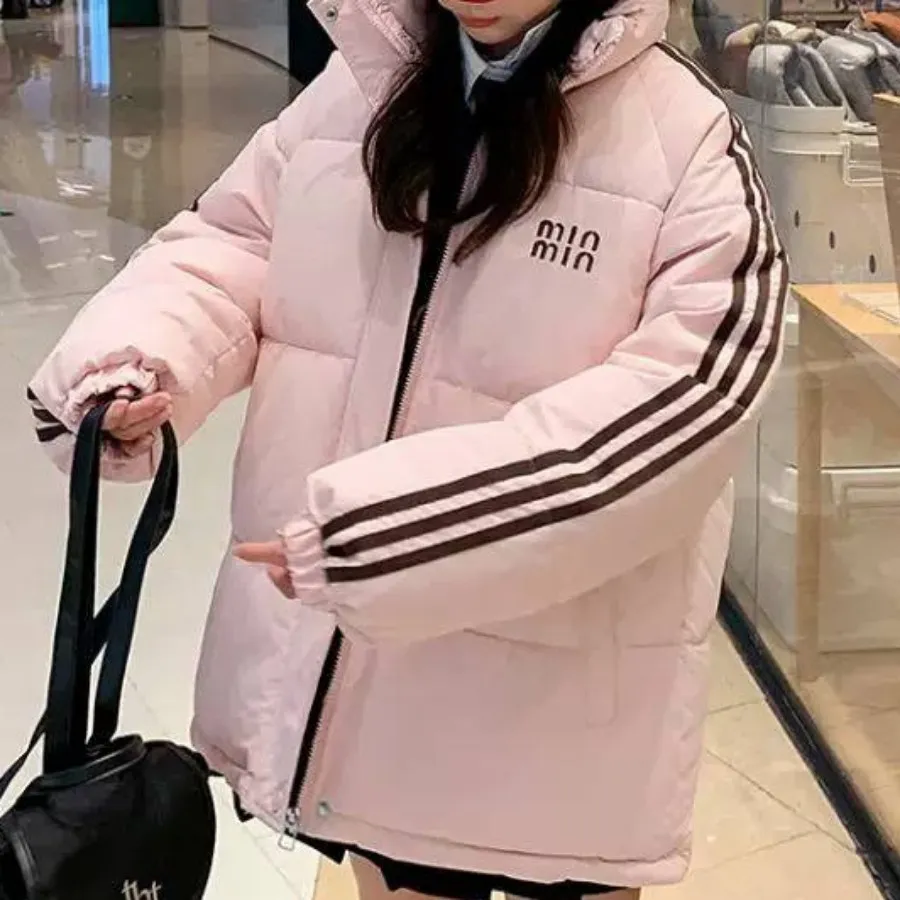 کاپشن داخل پشمشیشه