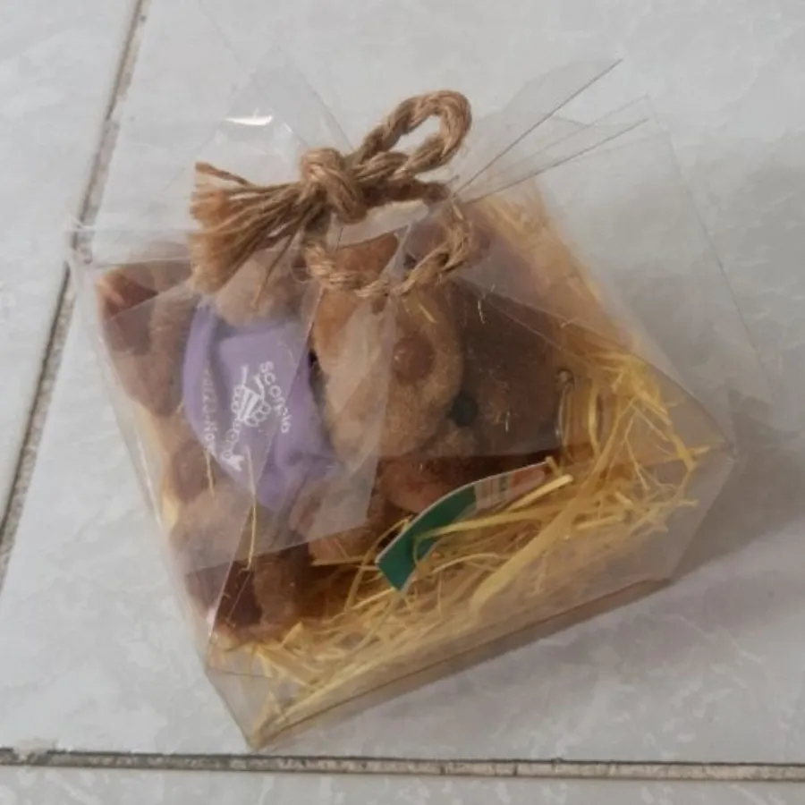 عروسک جاسوییچی