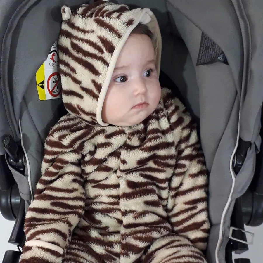 سرعمی گرم ببری