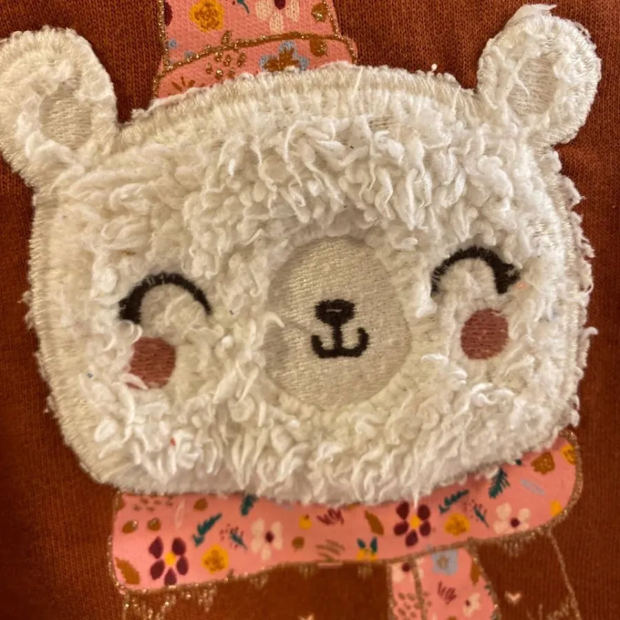 سویشرت Lc waikiki