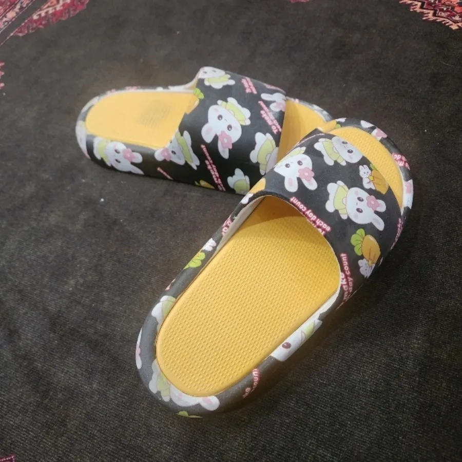 دمپایی روفرشی و بیرون