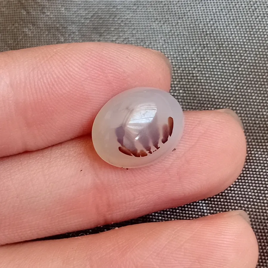 شجر منظره ارسال رایگان