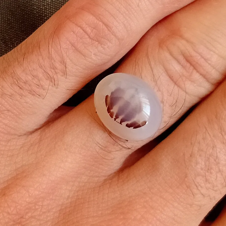 شجر منظره ارسال رایگان