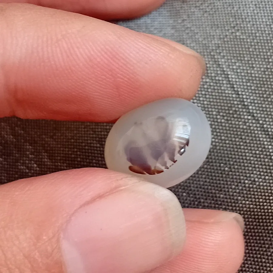 شجر منظره ارسال رایگان