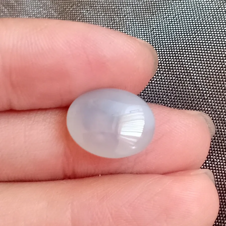 شجر منظره ارسال رایگان