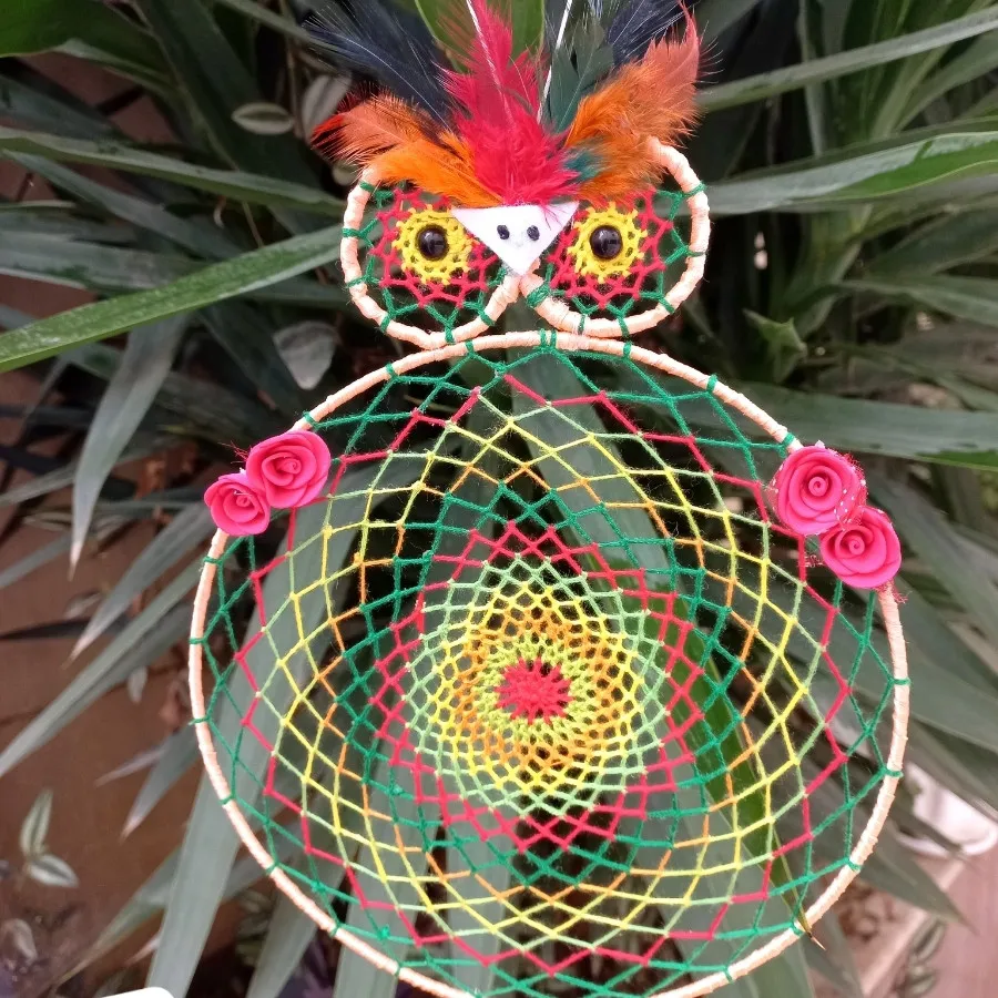 دریم کچدپر جغد