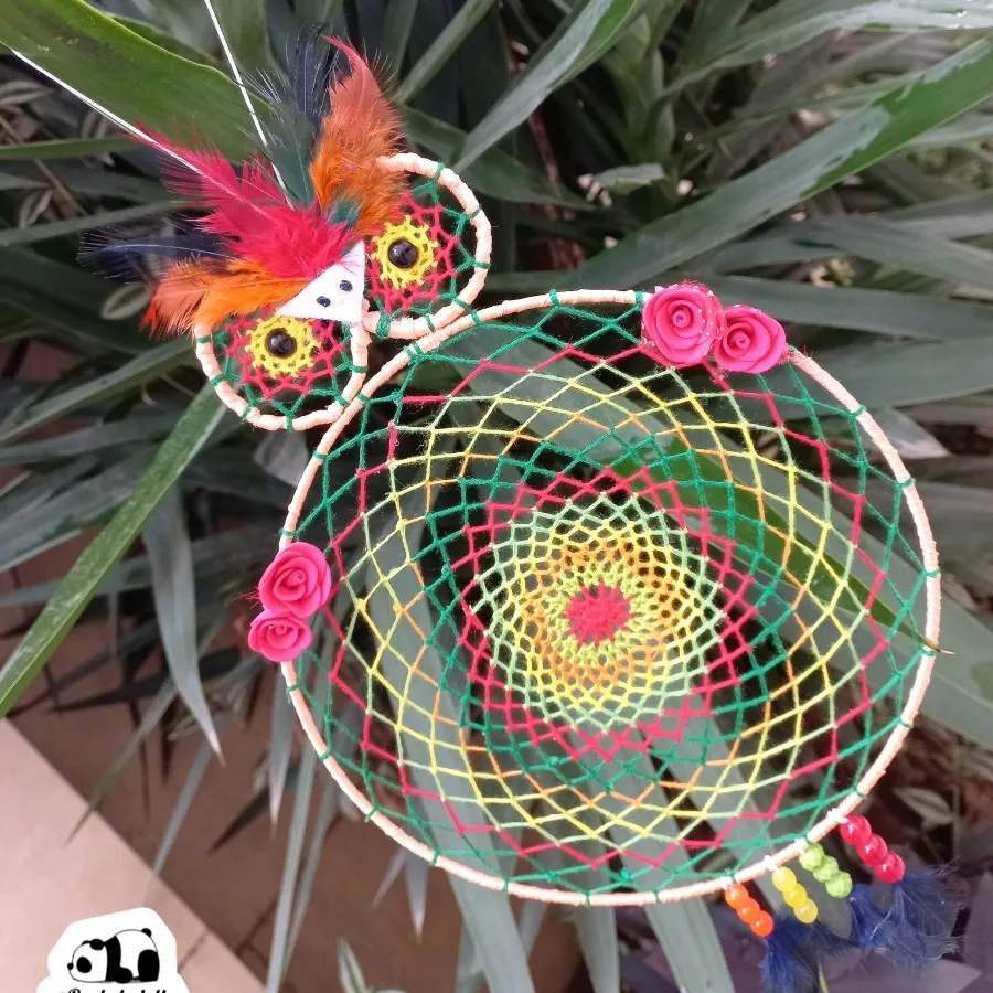 دریم کچدپر جغد