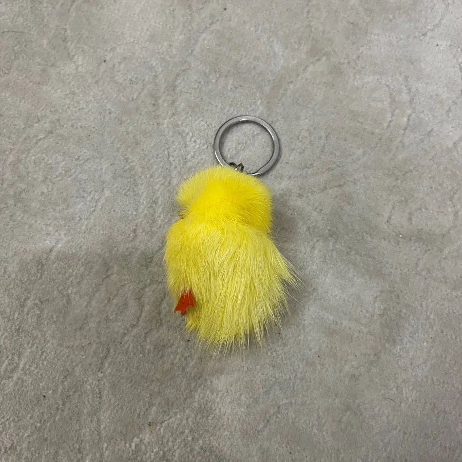 جاسوییچی جوجه