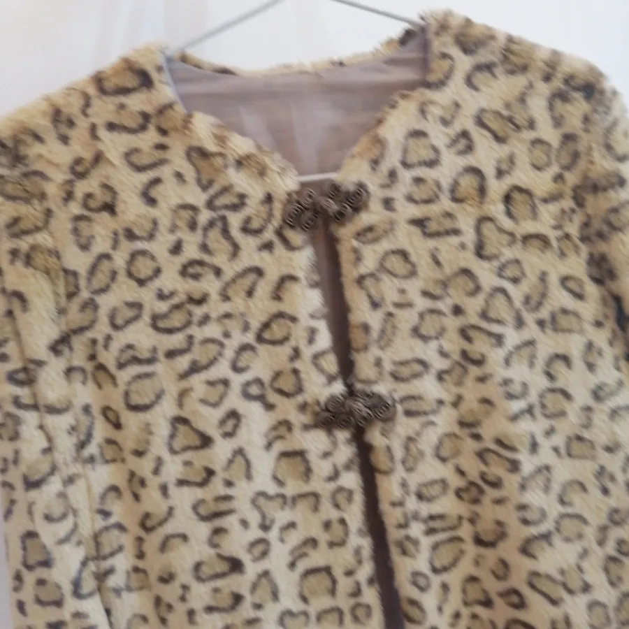 پالتو پلنگی