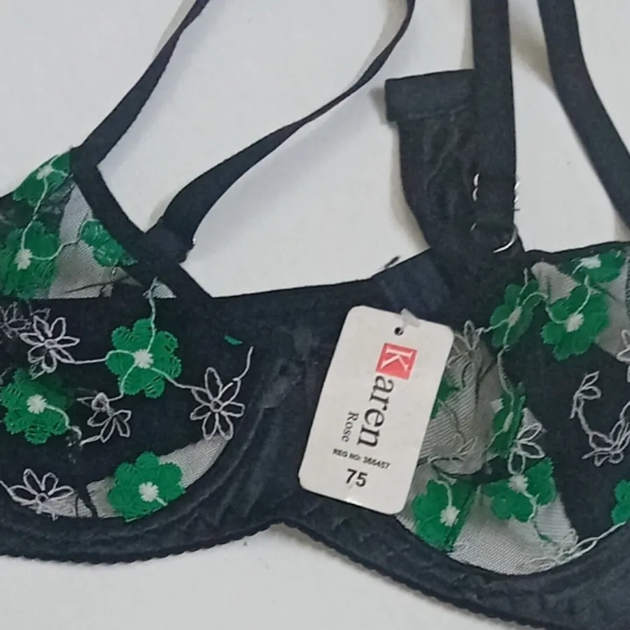 ست فنردار،دانتل اروپایی