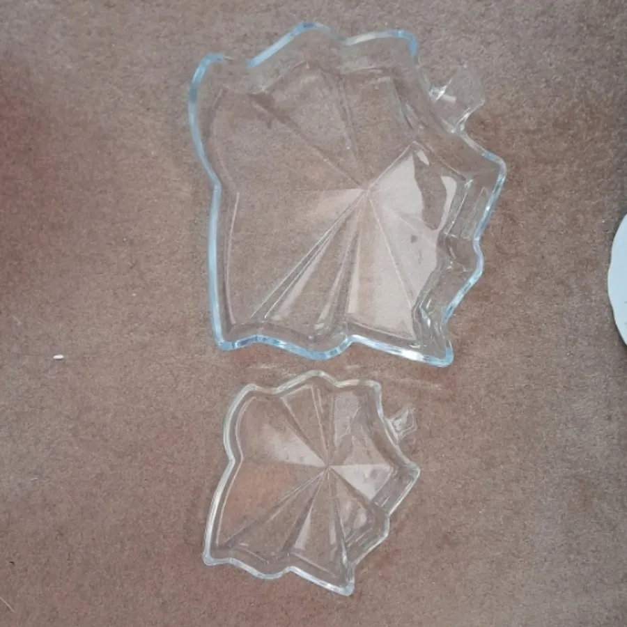 ظرف طرح برگ