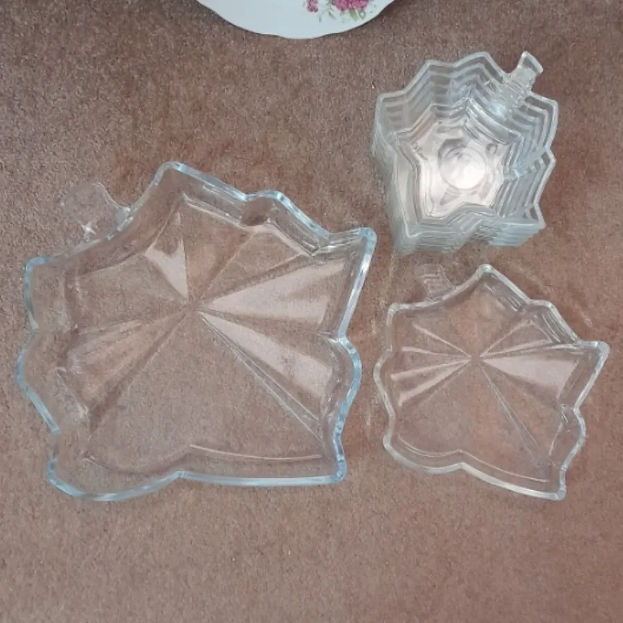 ظرف طرح برگ