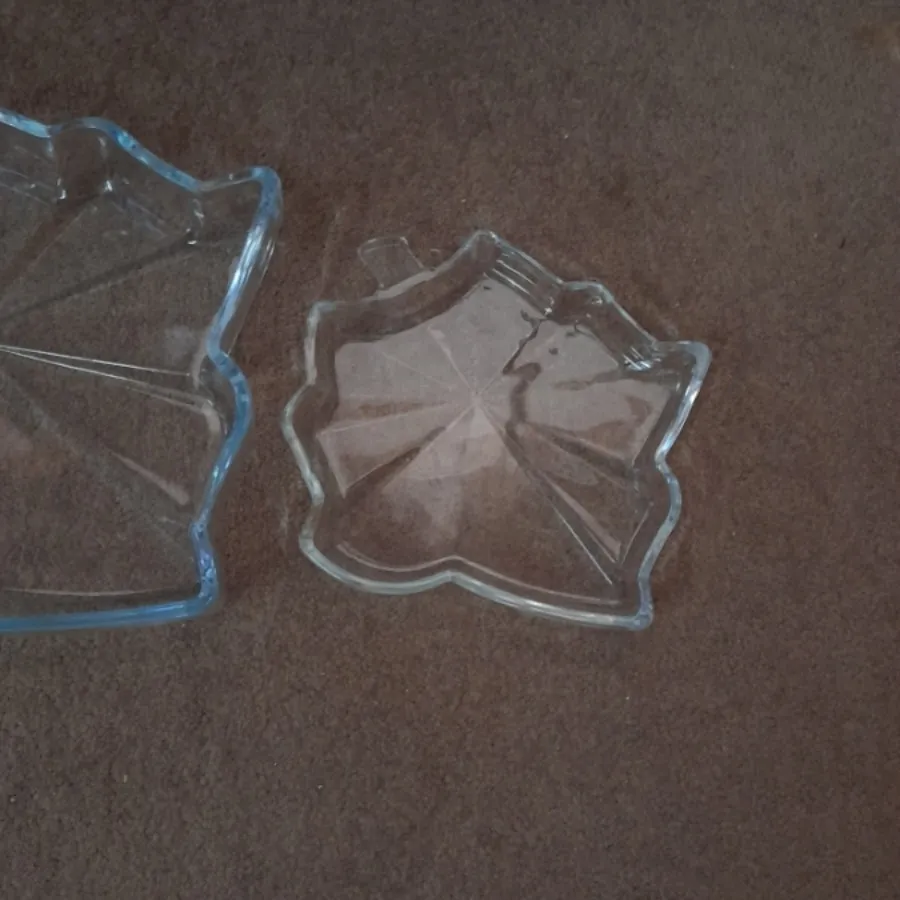 ظرف طرح برگ