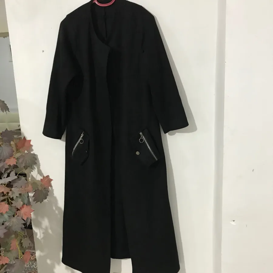 پالتو سوعیت