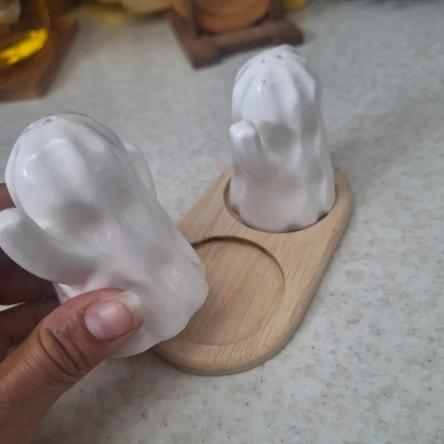 نمک پاش کاکتوس