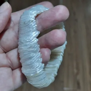 دستبند صدف طبیعی