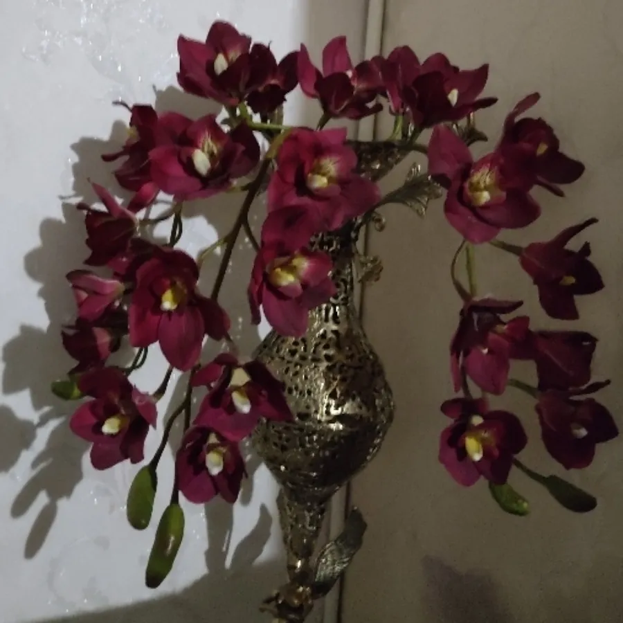 سه شاخه ارکیده خارجی