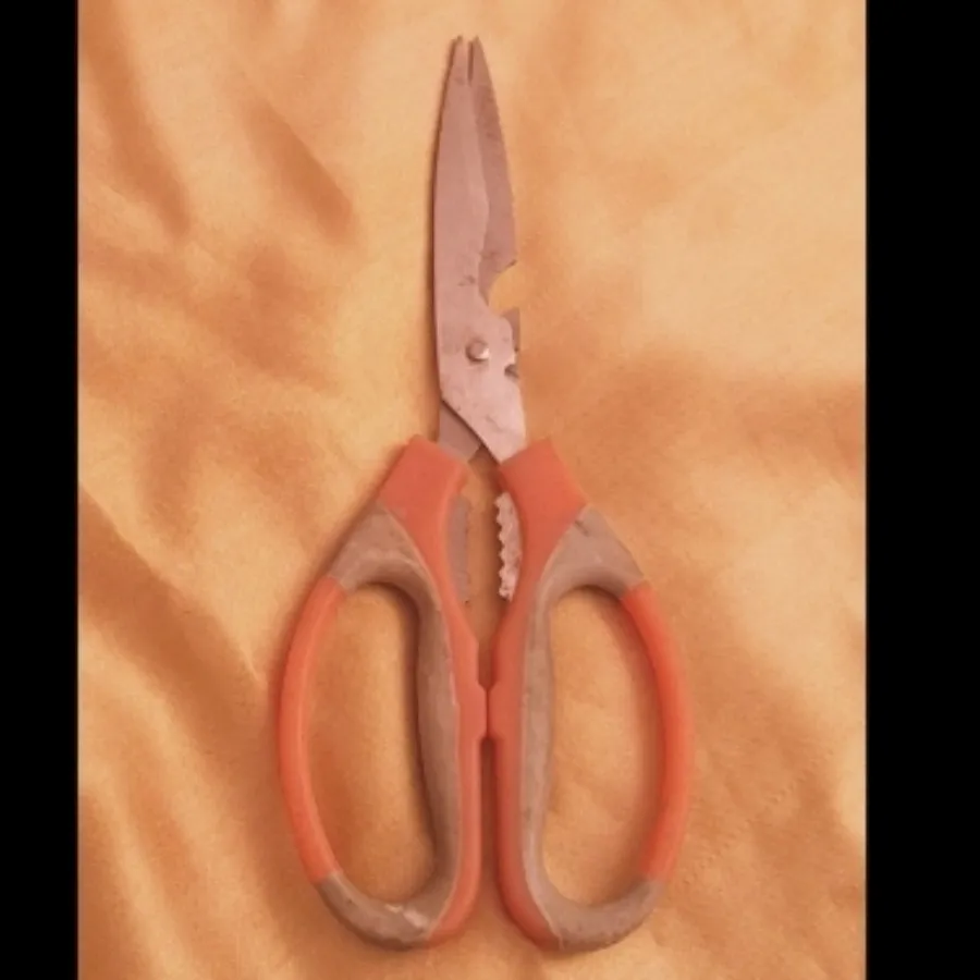 قیچی گردوشکن