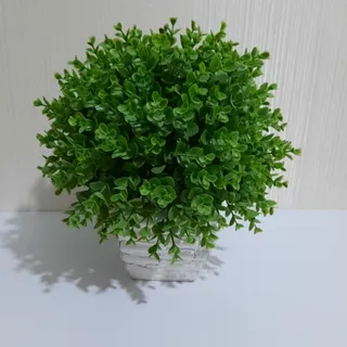 گل و گلدان سفالی