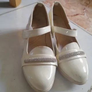 کفش مجلسی