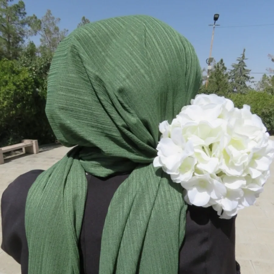 شال کشی سبز سیدی