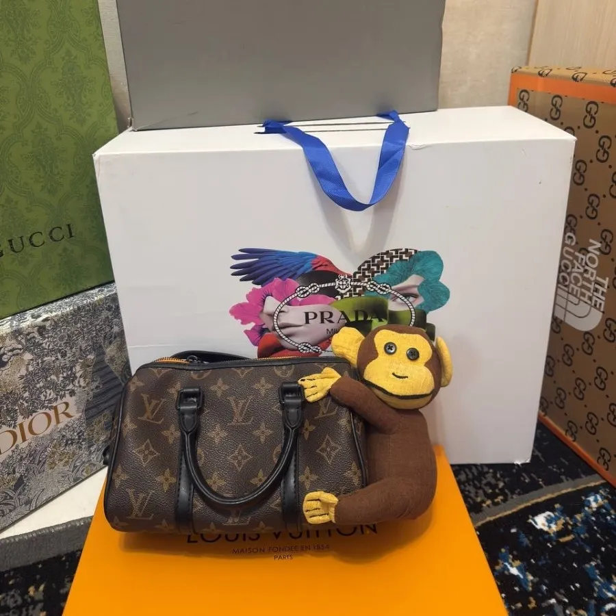 کیف لویی ویتون